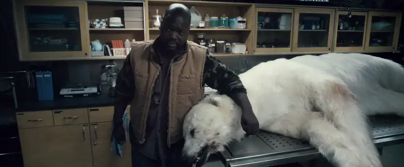 download the thaw - arctic outbreak (2009) bluray dual audio {hindi-english} 480p [350mb] | 720p [850mb] | 1080p [2gb]