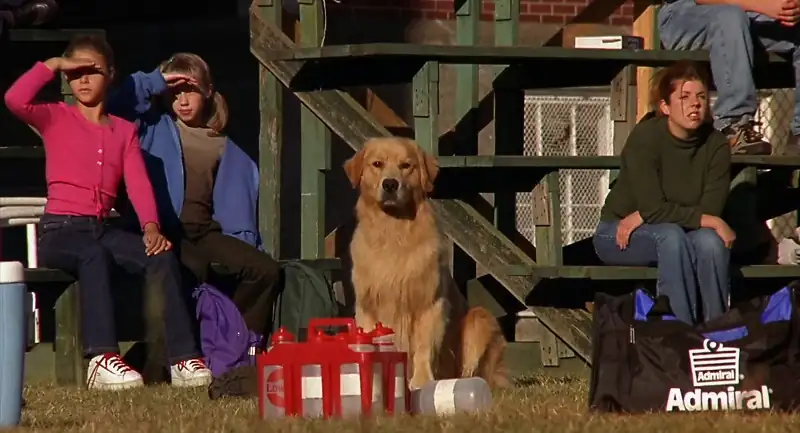 download air bud: world pup (2000) web-dl dual audio {hindi-english} 480p [270mb] | 720p [740mb] | 1080p [1.7gb]