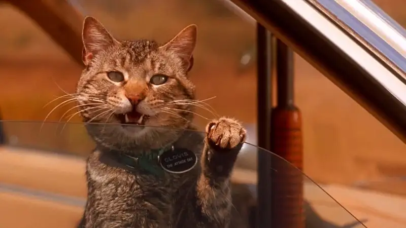 download sleepwalkers (1992) bluray dual audio {hindi-english} 480p [430mb] | 720p [850mb] | 1080p [1.5gb]