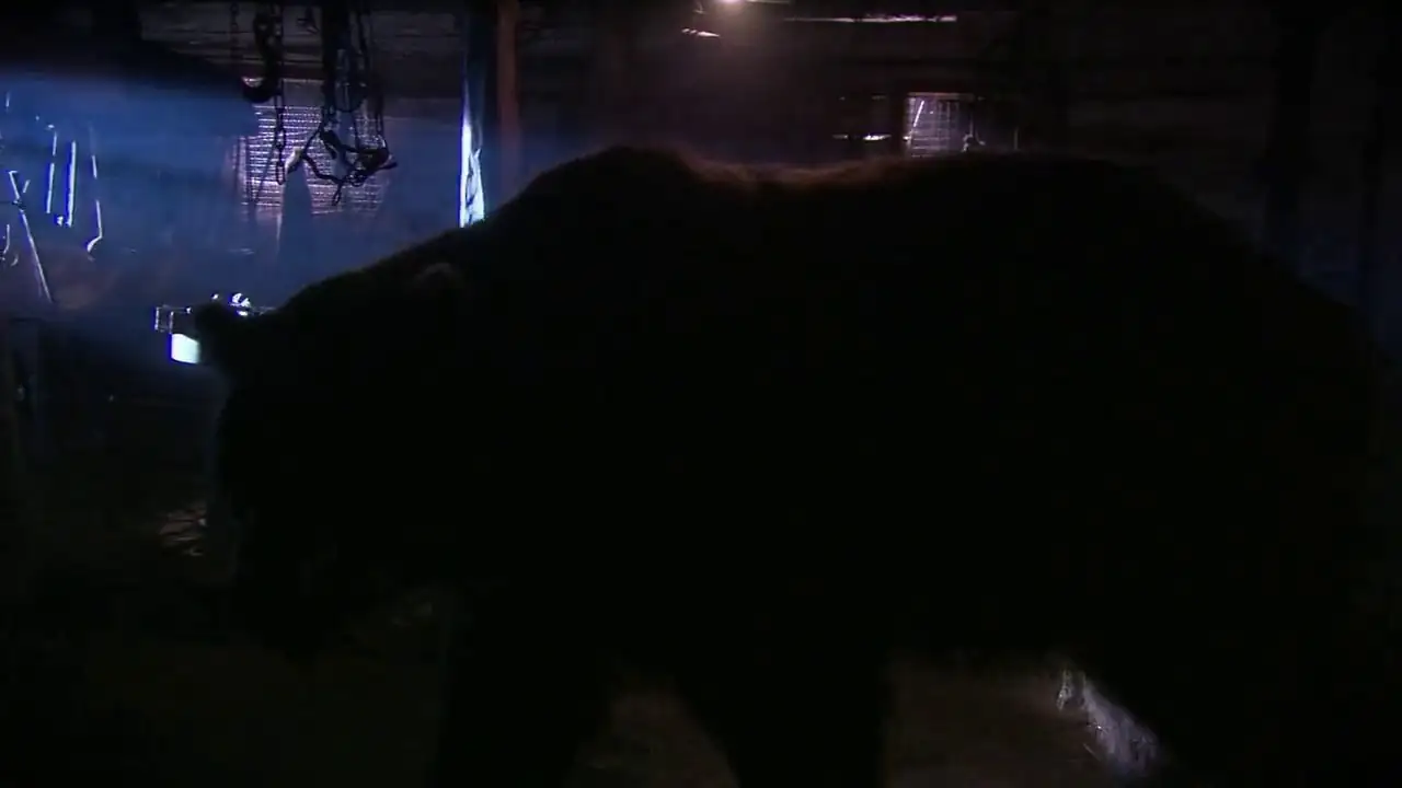 download grizzly rage (2007) bluray dual audio {hindi-english} 480p [430mb] | 720p [870mb] | 1080p [1.6gb]