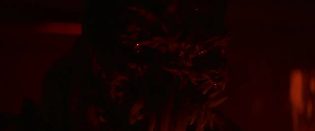 screenshot 403d8b it lives inside 2023