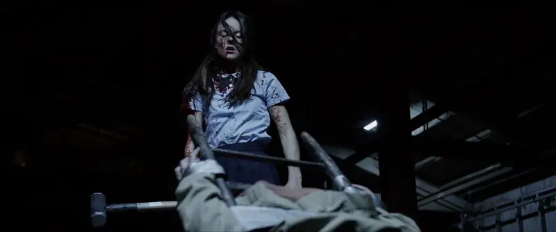 download [18+] i spit on your grave 3: vengeance is mine (2015) bluray dual audio {hindi-english} 480p [350mb] | 720p [950mb] | 1080p [2gb]