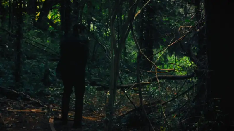 download bad weed (2019) dual audio {hindi-english} 480p [200mb] | 720p [800mb]