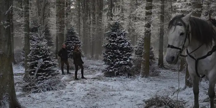 download a castle for christmas (2021) dual audio {hindi-english} 480p [300mb] | 720p [1gb] | 1080p [2.5gb]