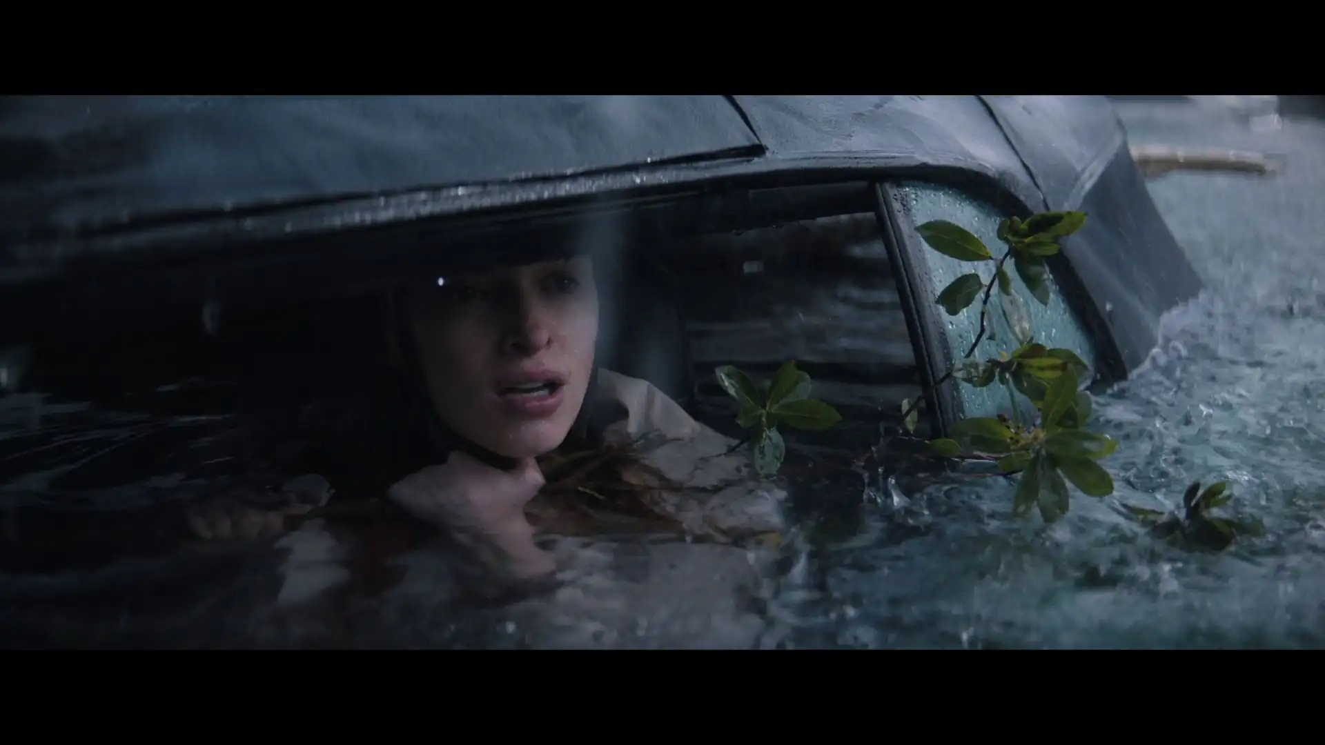 screenshot 42ed42 thrash 2026