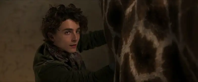 download wonka (2024) dual audio [hindi org. + english] bluray 480p [540mb] | 720p [1.2gb] | 1080p [2.5gb]