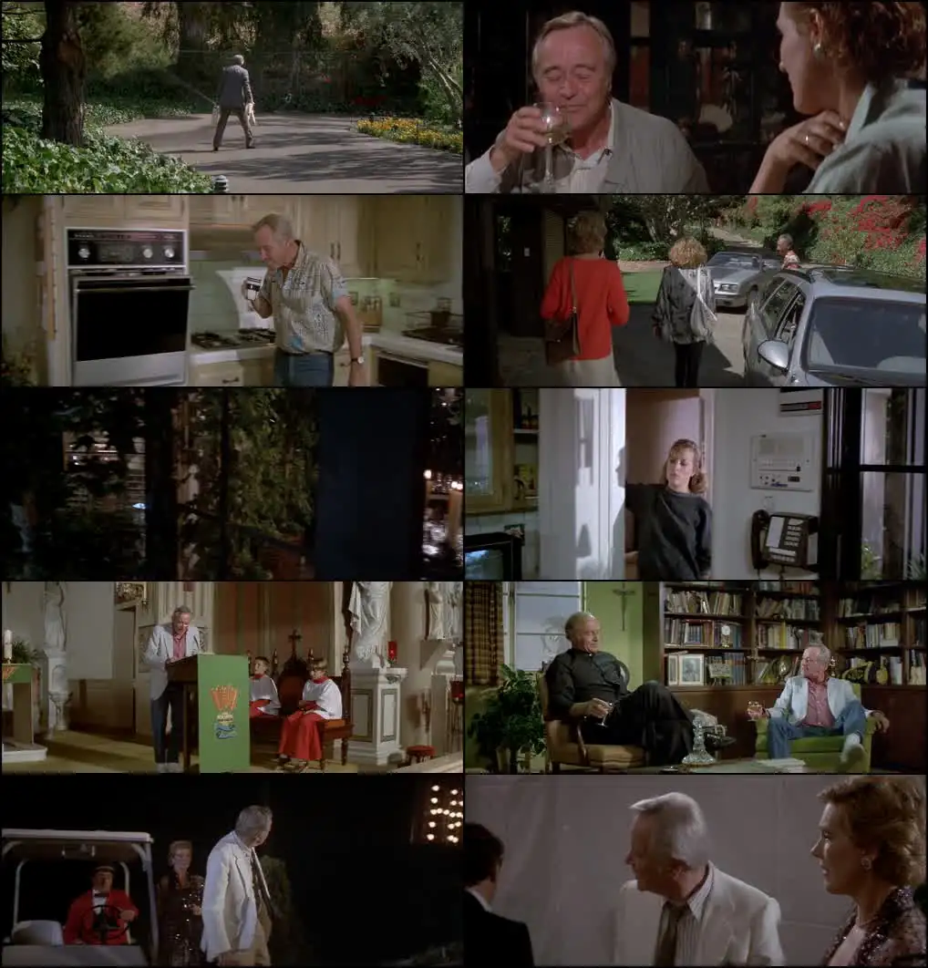 screenshot 43c5d6 that s life 1986