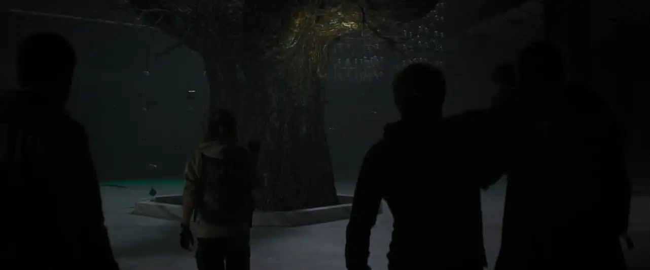 screenshot 444f48 do not enter 2026