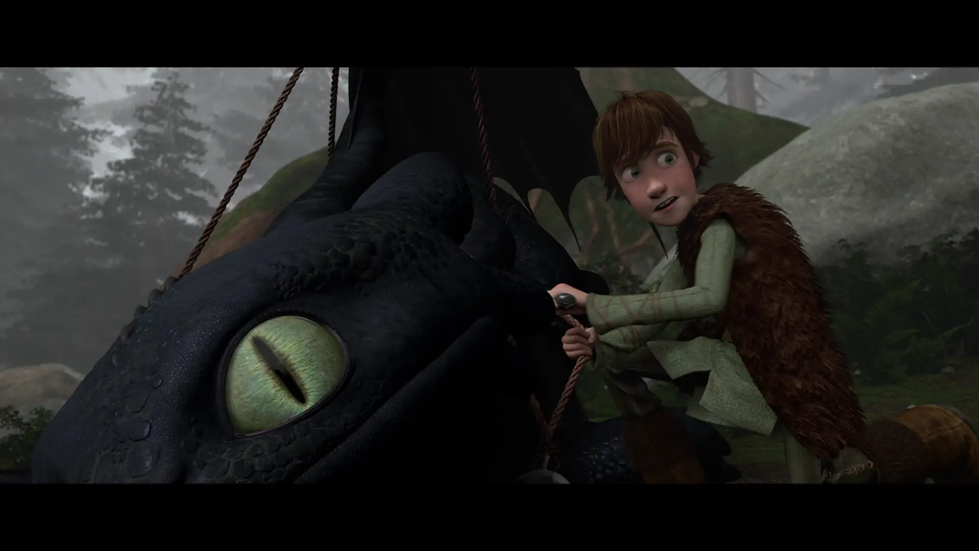 download how to train your dragon (2010) dual audio {hindi-english} bluray 480p [300mb] | 720p [1.7gb] | 1080p [2.1gb]