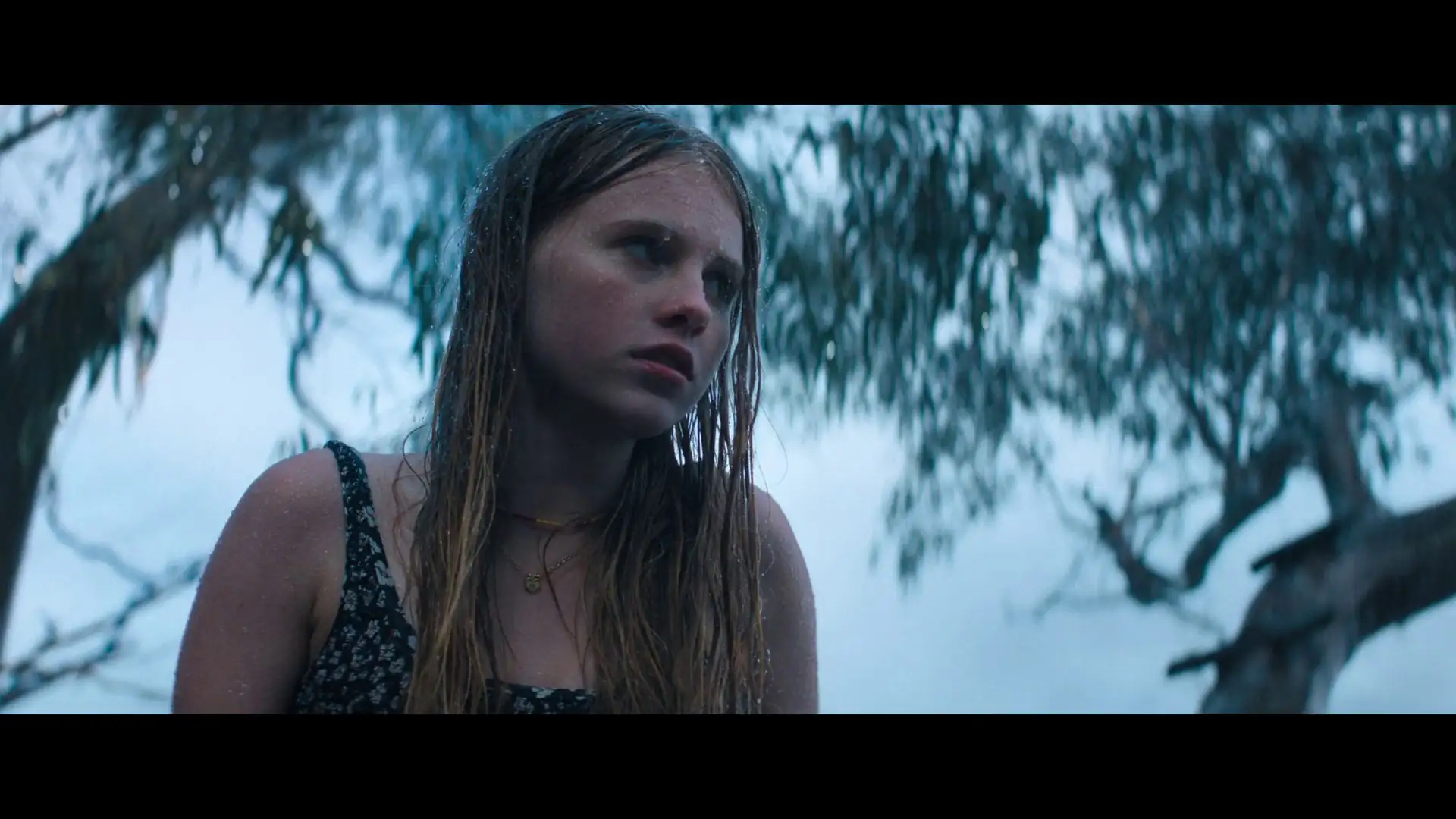 screenshot 468f6d thrash 2026