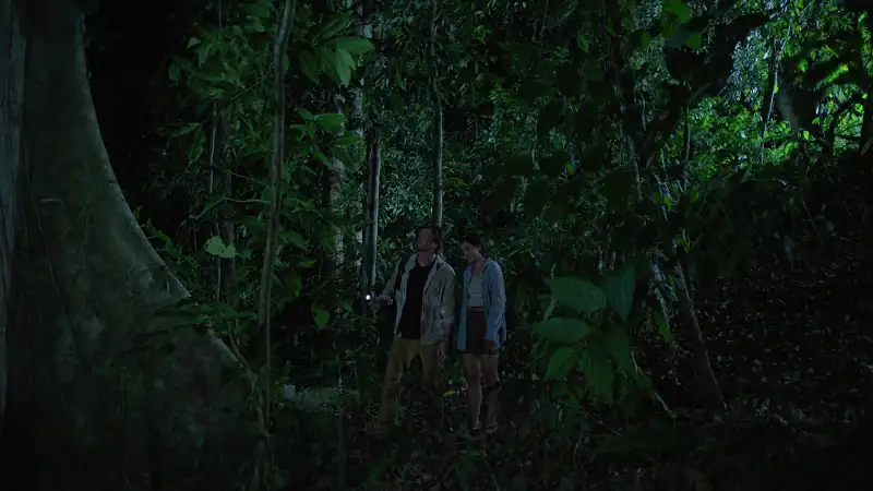 download a costa rican wedding (2024) {english with subtitles} full movie web-dl 480p [250mb] | 720p [680mb] | 1080p [1.6gb]