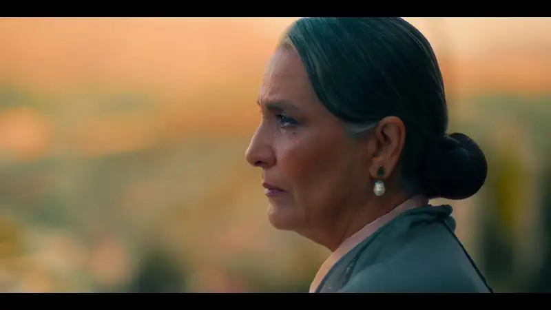 screenshot 4a5e24 she said maybe 2025