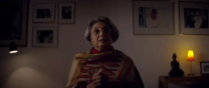 download wild wild country - netflix original (2018) season 1 dual audio {hindi-english} 720p [400mb] web-dl