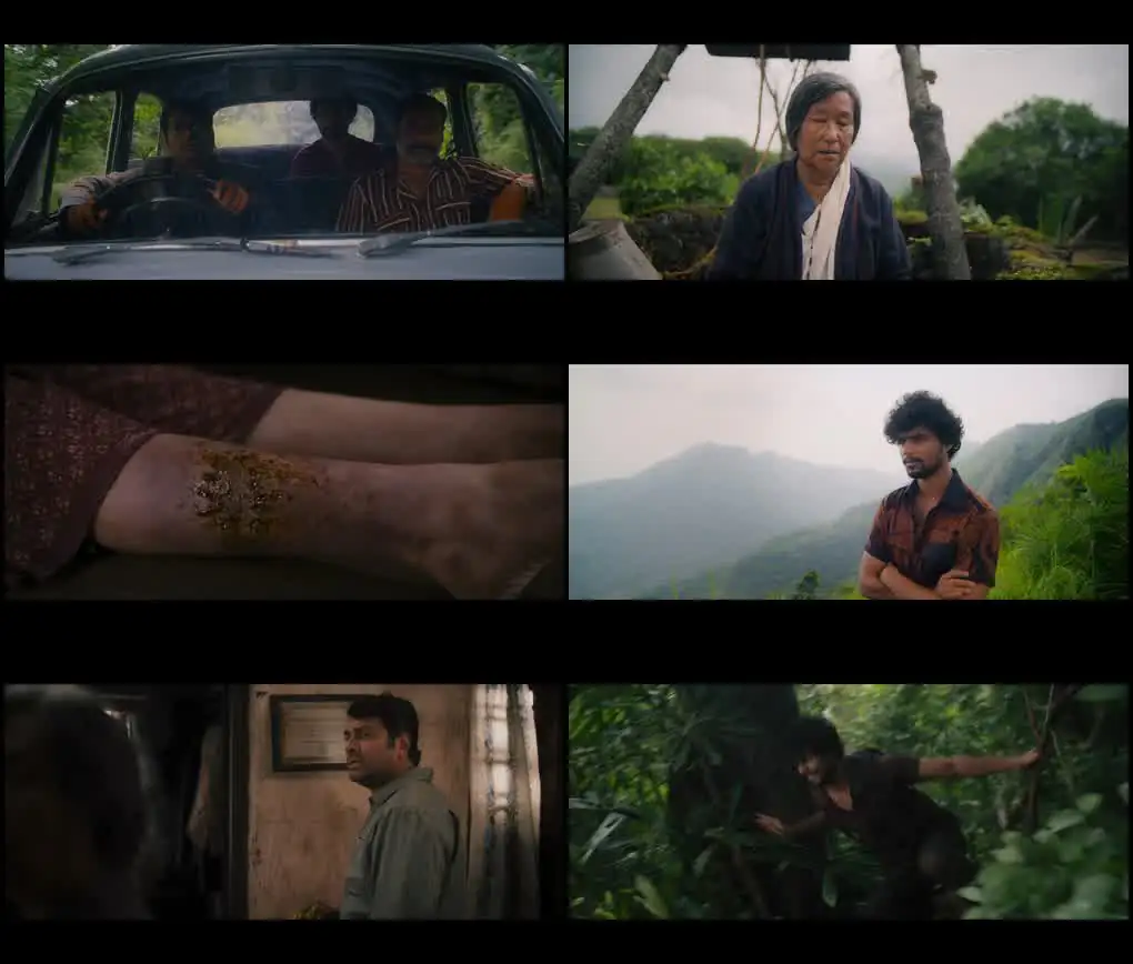 screenshot 4c5fb8 eko 2025