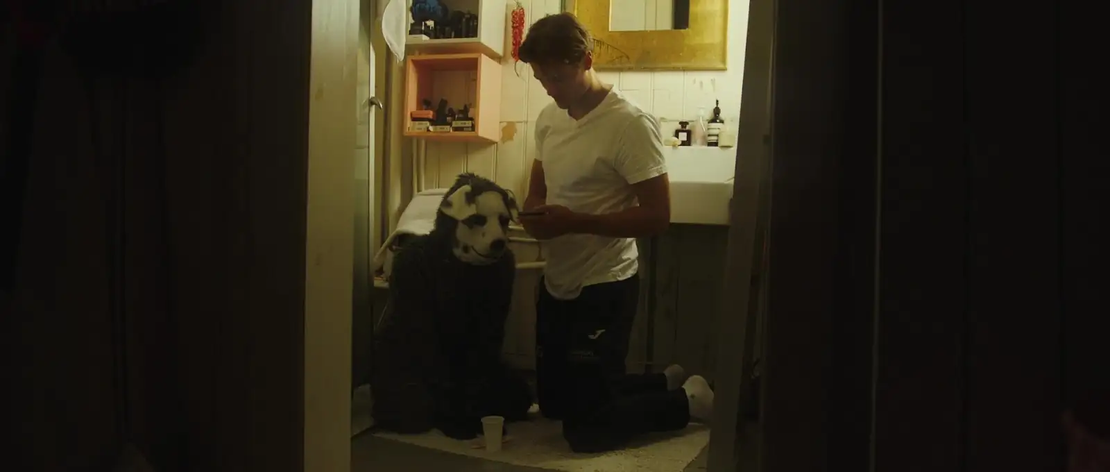 download good boy (2022) dual audio [hindi + norwegian] bluray 480p [350mb] | 720p [750mb] | 1080p [1.7gb]