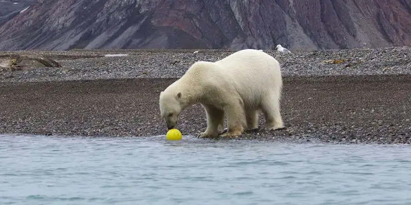 download our oceans (2024) season 1 netflix original - dual audio {hindi-english} web series 1080p & 720p web-dl