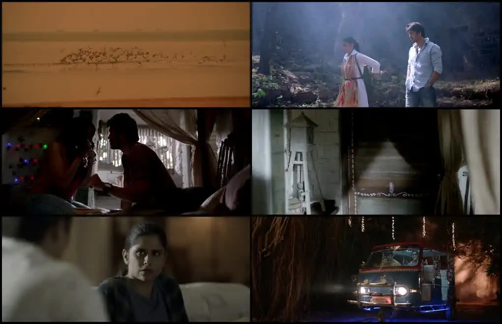 screenshot 51d65e colorphool 2024