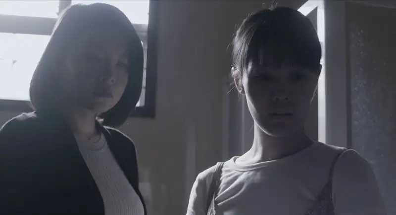 download two sisters (2019) web-dl dual audio {hindi-chinese} 480p [310mb] | 720p [890mb] | 1080p [2.1gb]