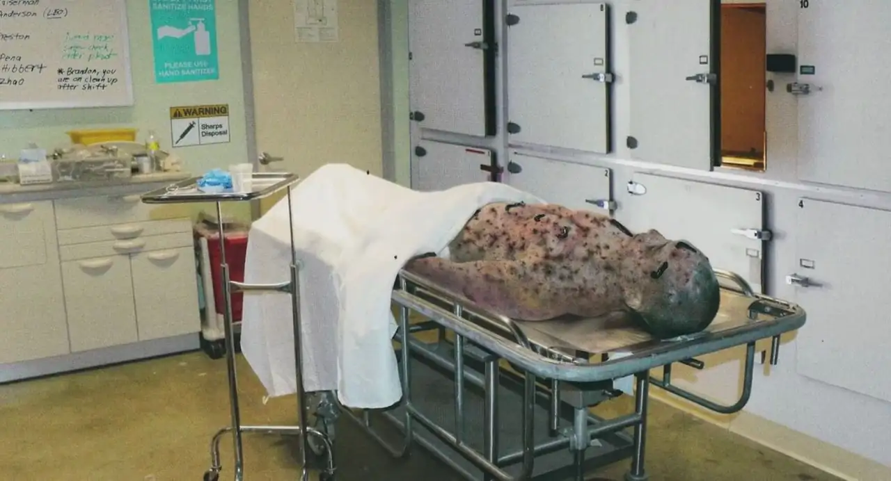 screenshot 5329a0 strange harvest 2024