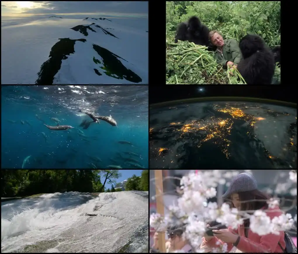 screenshot 538b41 david attenborough a life on our planet 2020