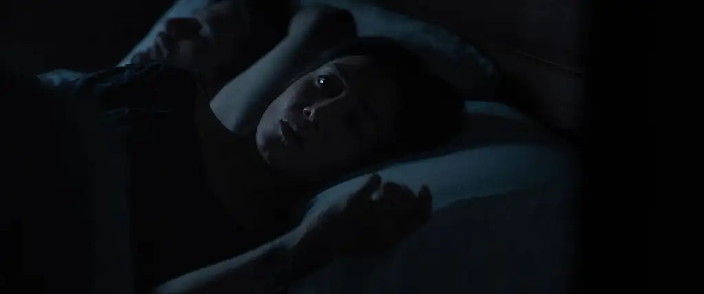 download the wretched (2019) dual audio {hindi-english} bluray 480p [350mb] | 720p [1gb] | 1080p [2gb]