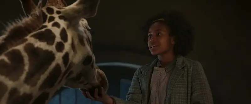 download wonka (2023) web-dl {english with subtitles} full movie 480p [380mb] | 720p [1.1gb] | 1080p [2.5gb]