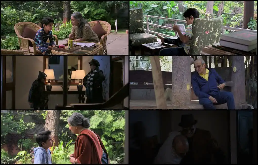 screenshot 5691c0 outhouse 2024