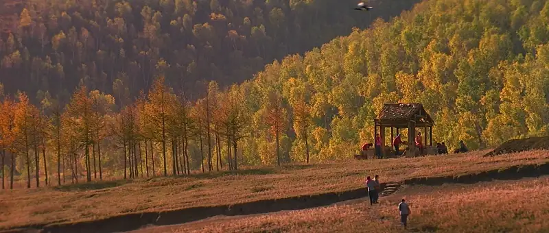 download the road home (1999) dual audio {hindi-chinese } bluray 480p [320mb] | 720p [880mb] | 1080p [1.5gb]