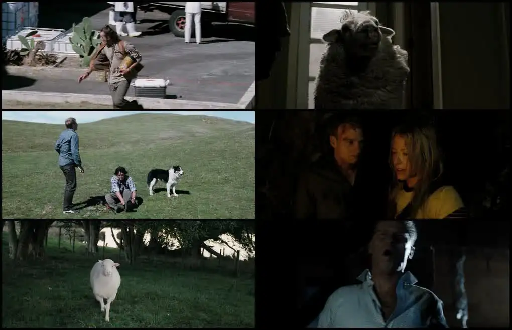 screenshot 58ccee black sheep 2006