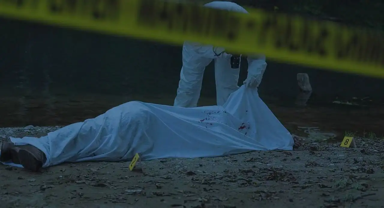 screenshot 591f81 strange harvest 2024