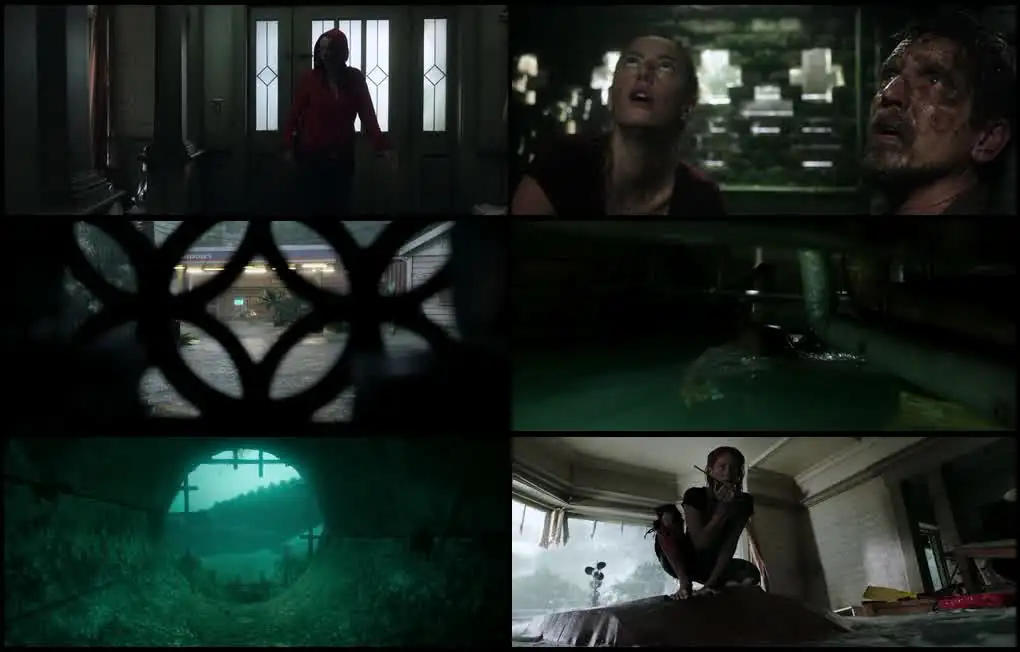 screenshot 595e16 crawl 2019