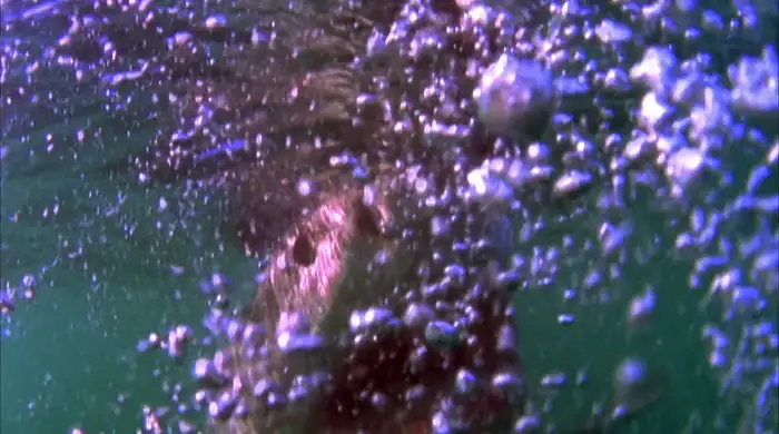 download shark zone (2003) dual audio {hindi-english} 480p [350mb] | 720p [950mb] | 1080p [1.8gb]