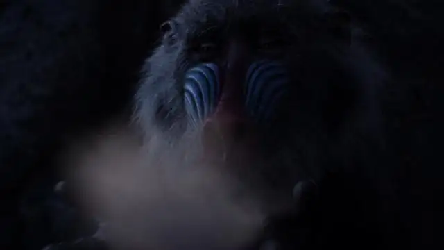 download the lion king (2019) dual audio {hindi-english} 480p [350mb] | 720p [1gb] | 1080p [3gb]