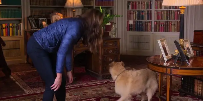 download a castle for christmas (2021) dual audio {hindi-english} 480p [300mb] | 720p [1gb] | 1080p [2.5gb]