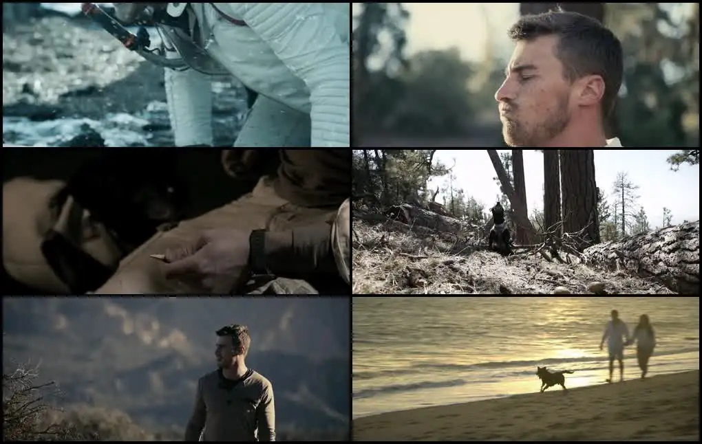 screenshot 5d5368 ellipse 2019