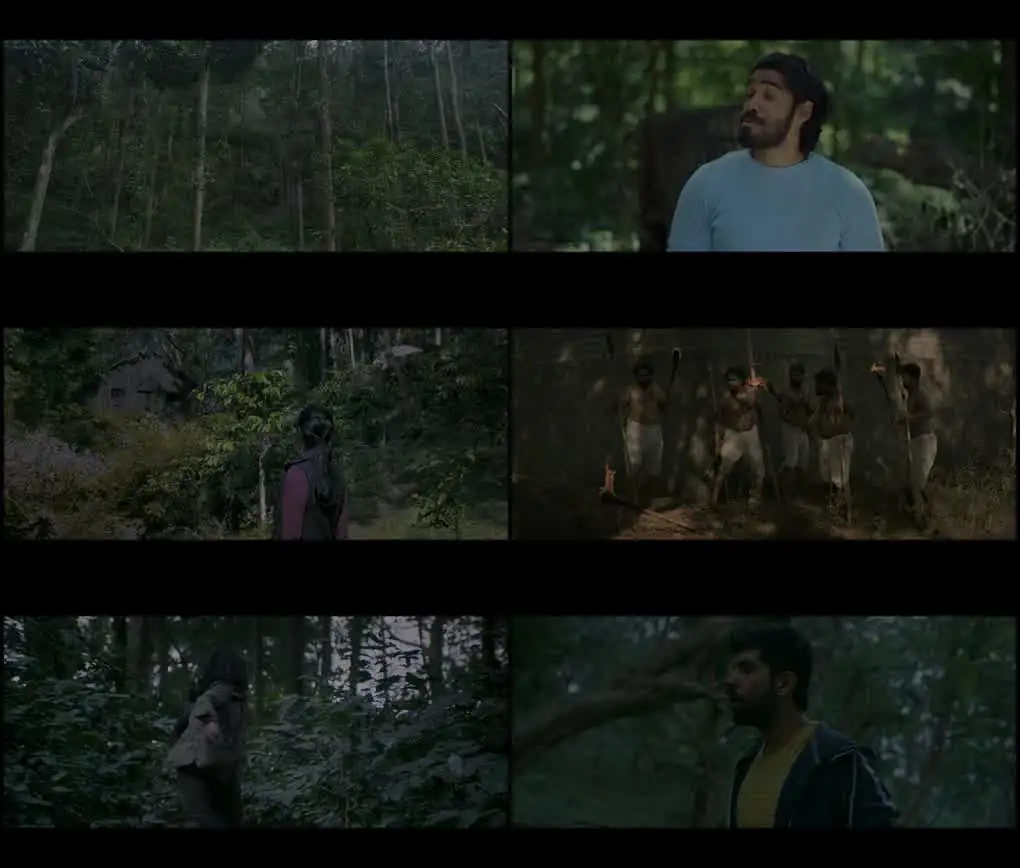 screenshot 5dd2d9 pechi 2024