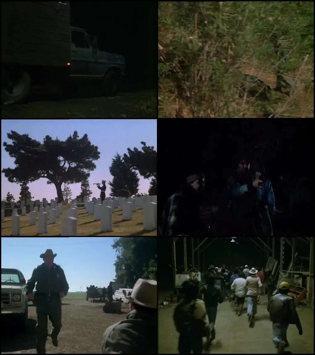 download borderline (1980) dual audio {hindi-english} web-dl 480p [350mb] | 720p [850mb] | 1080p [2gb]