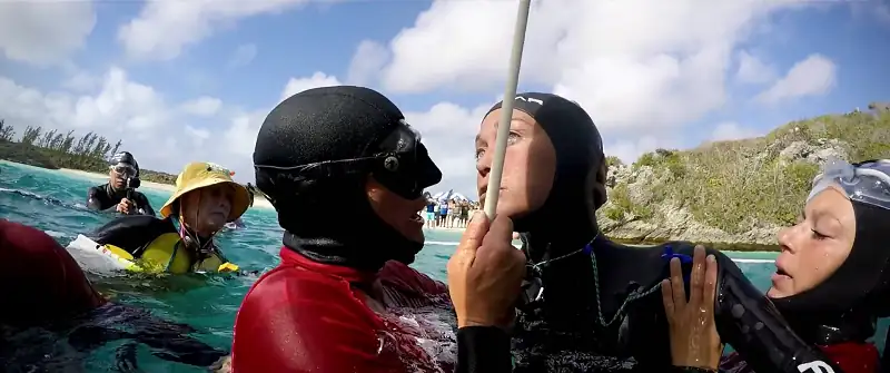 download the deepest breath (2023) nf web-dl dual audio {hindi-english} 480p [370mb] | 720p [1gb] | 1080p [2.3gb