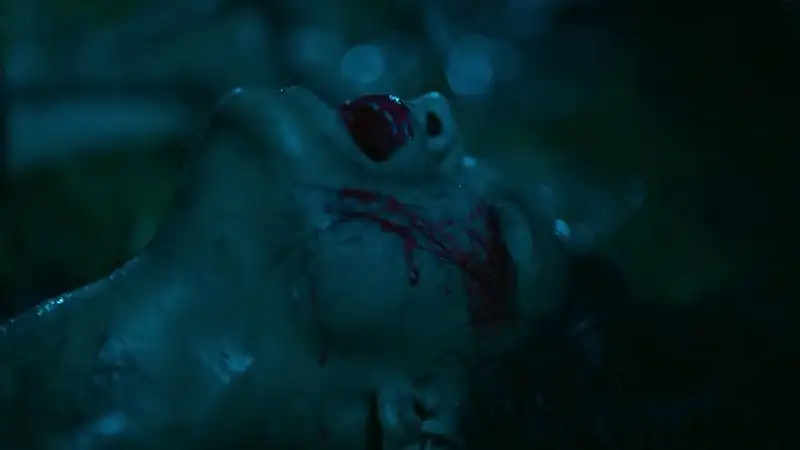 screenshot 635e48 kooki 2024