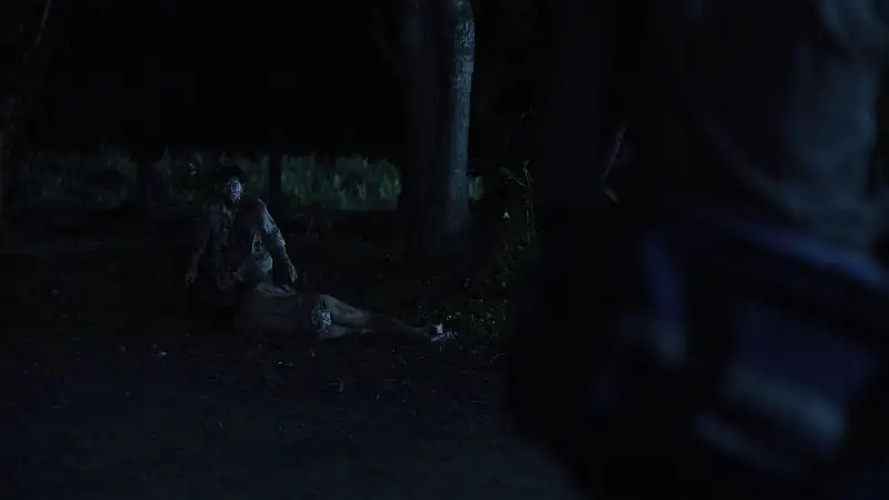 screenshot 65077f outside netflix original 2024