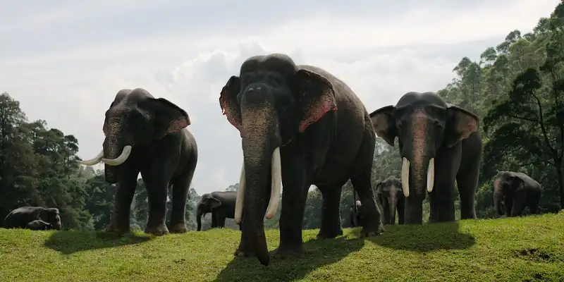 screenshot 68be93 inspector rishi 2024