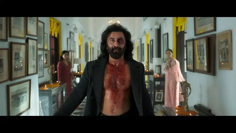 screenshot 6915d0 animal 2023