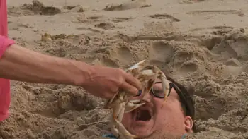 download jackass 4.5 (2022) dual audio [hindi-english] web-dl 480p [350mb] | 720p [950mb] | 1080p [1.8gb]