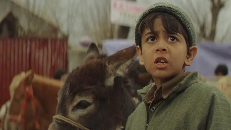 screenshot 6e1c50 tahaan 2008