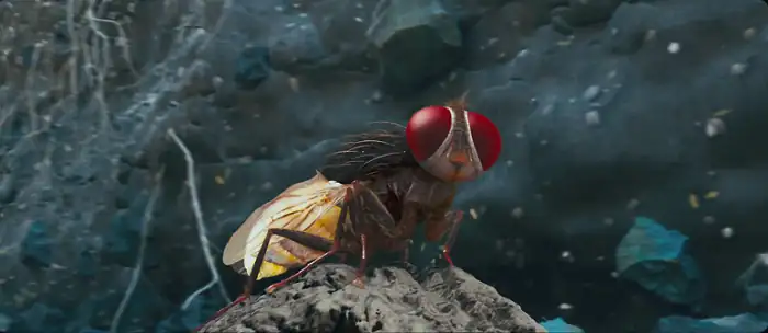screenshot 6eb890 makkhi eega 2012