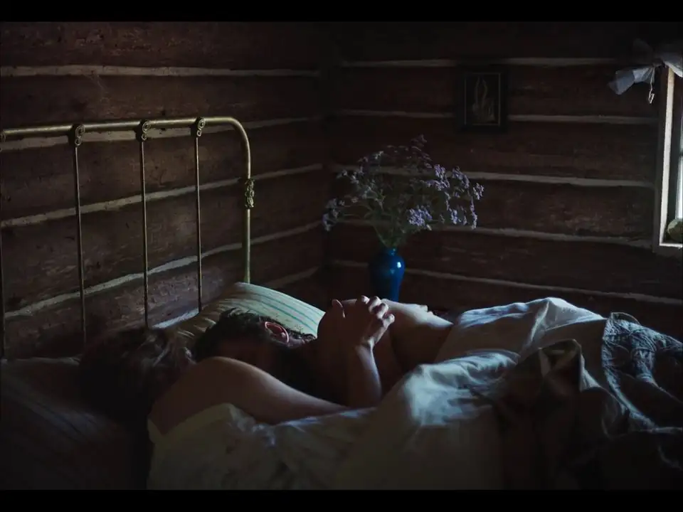 screenshot 6ee485 train dreams 2025