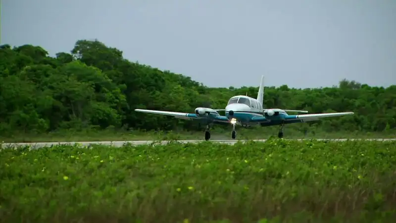 download curiosity (season 1) dual audio [hindi + english] complete web series 480p [150mb] | 720p [450mb]