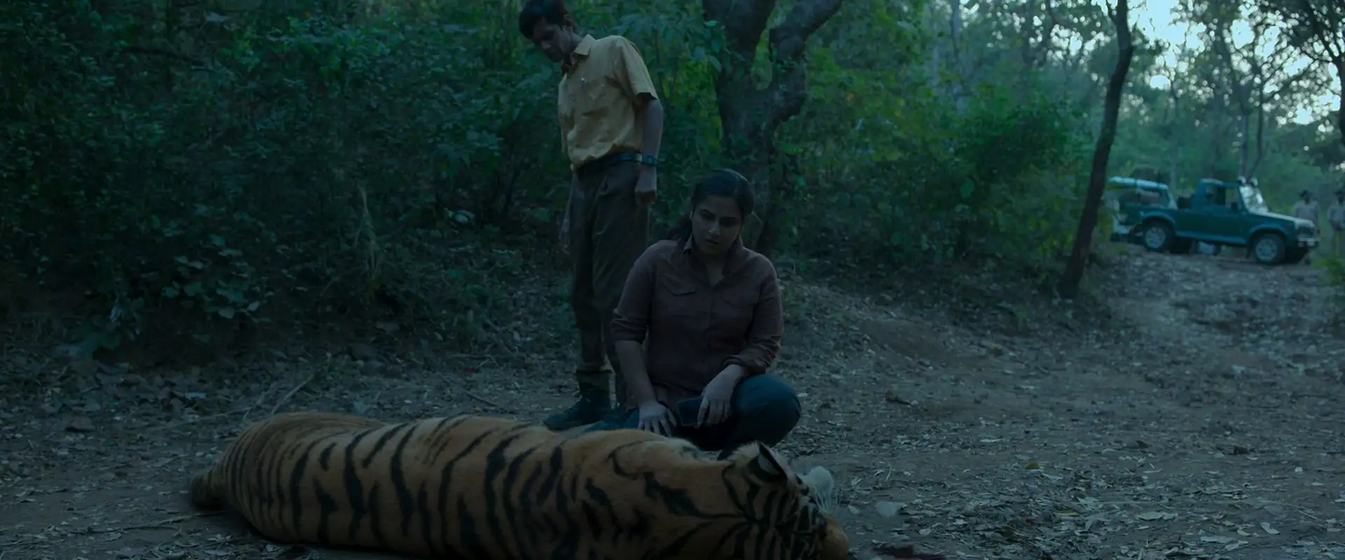 screenshot 70cd04 sherni 2021