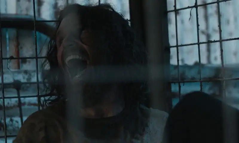 download the seeding (2023) bluray dual audio {hindi-english} 480p [400mb] | 720p [1gb] | 1080p [2.2gb]