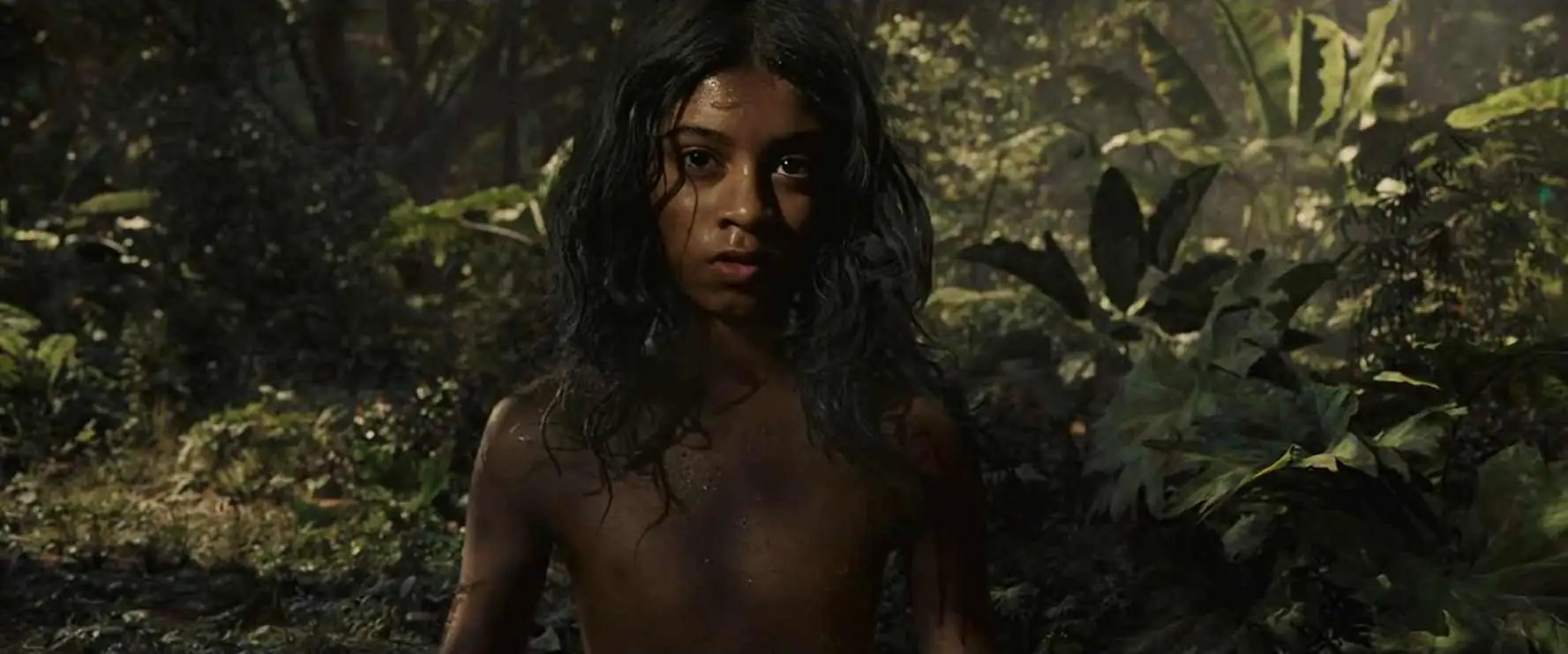 download mowgli: legend of the jungle (2018) dual audio {hindi-english} 480p [300mb] | 720p [1gb] | 1080p [3gb]